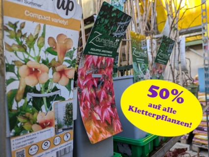 pxl_20251105_094720266